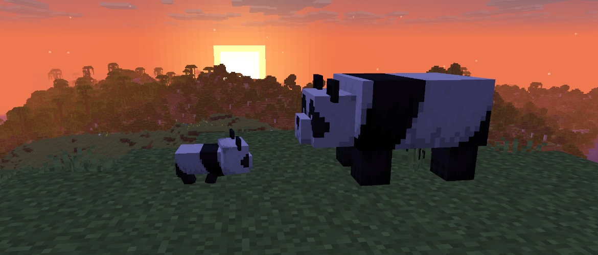 Two pandas, one adult and one cub, stand on a grassy hill with the sun setting in the background.