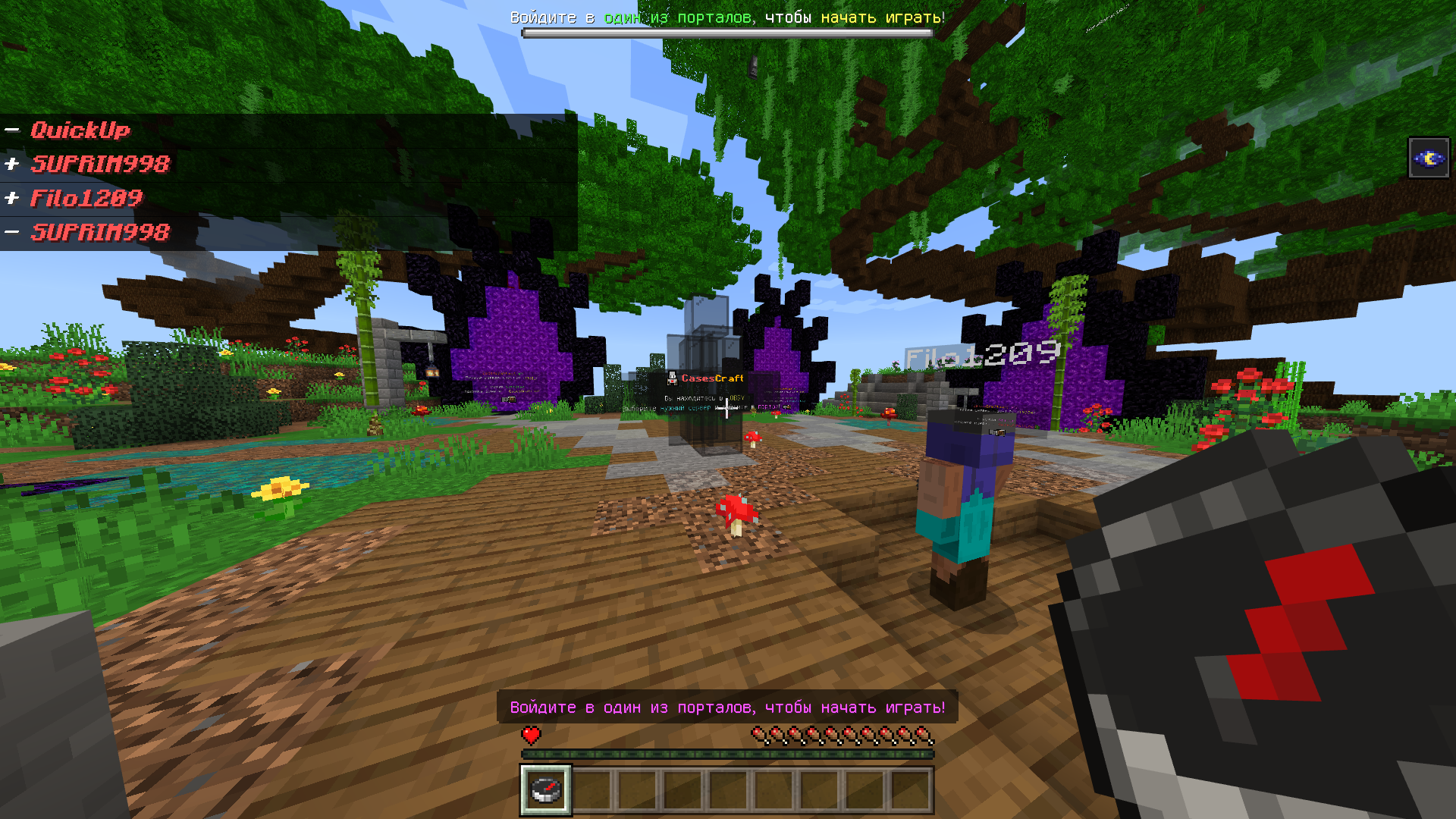 Баннер сервера CasesCraft