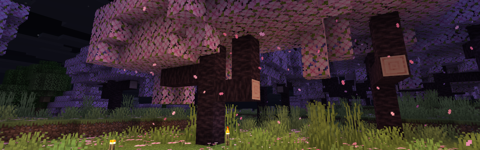 Баннер сервера MayLAN Craft