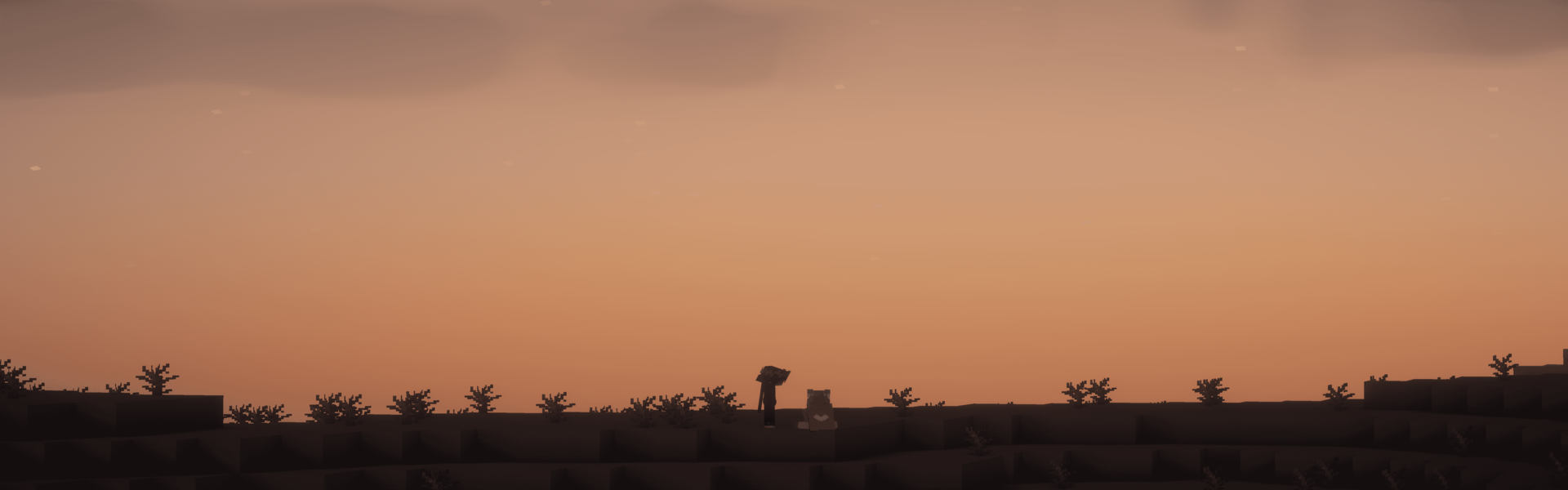 Баннер сервера flw