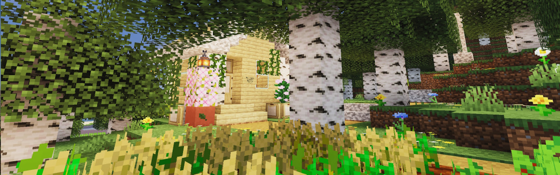 Баннер сервера VanillaCore