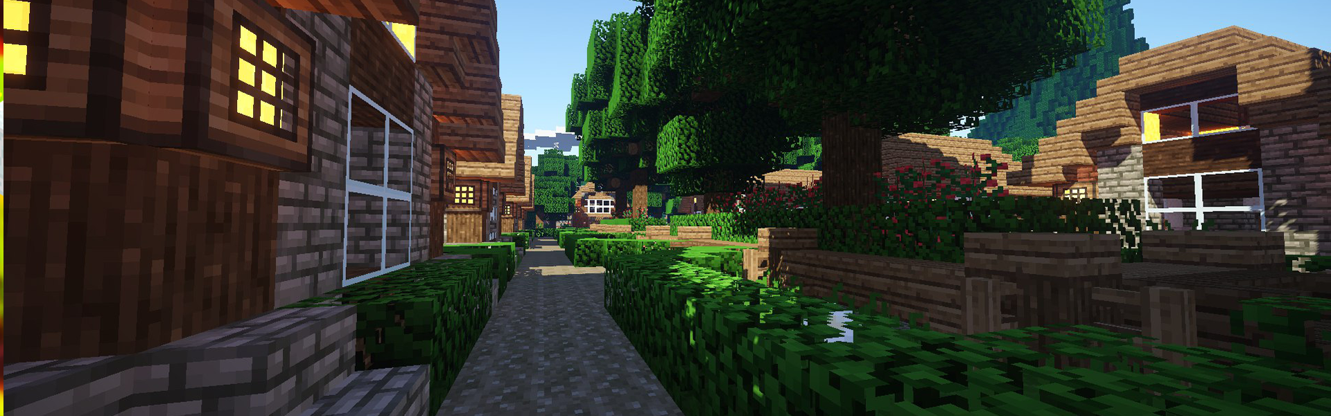 Баннер сервера QiwiWorld