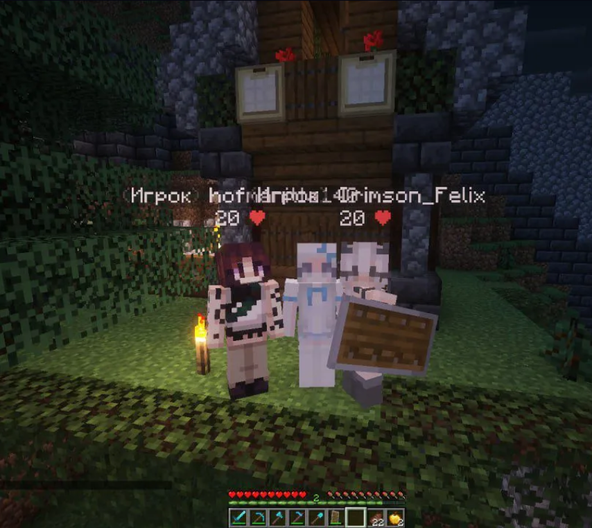 Баннер сервера PufferWorld