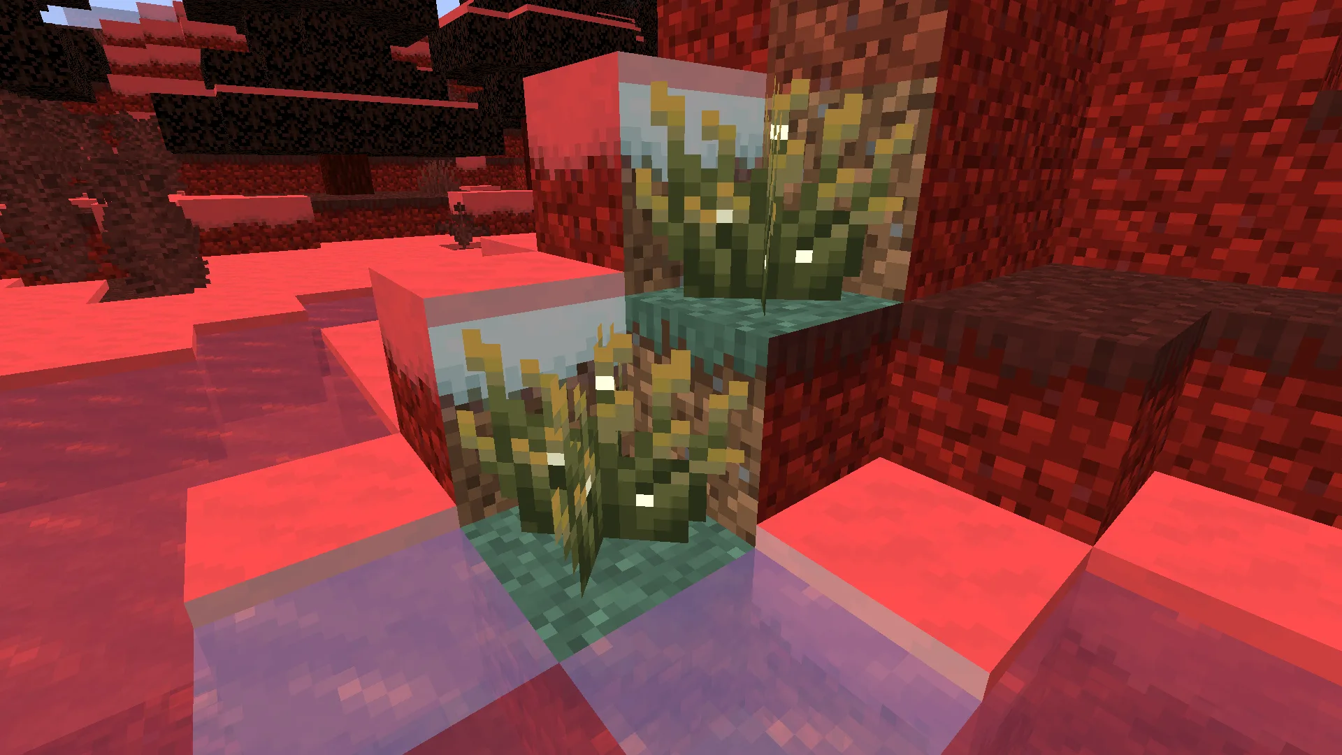 Изображение 4 ресурспака 0light1levels15