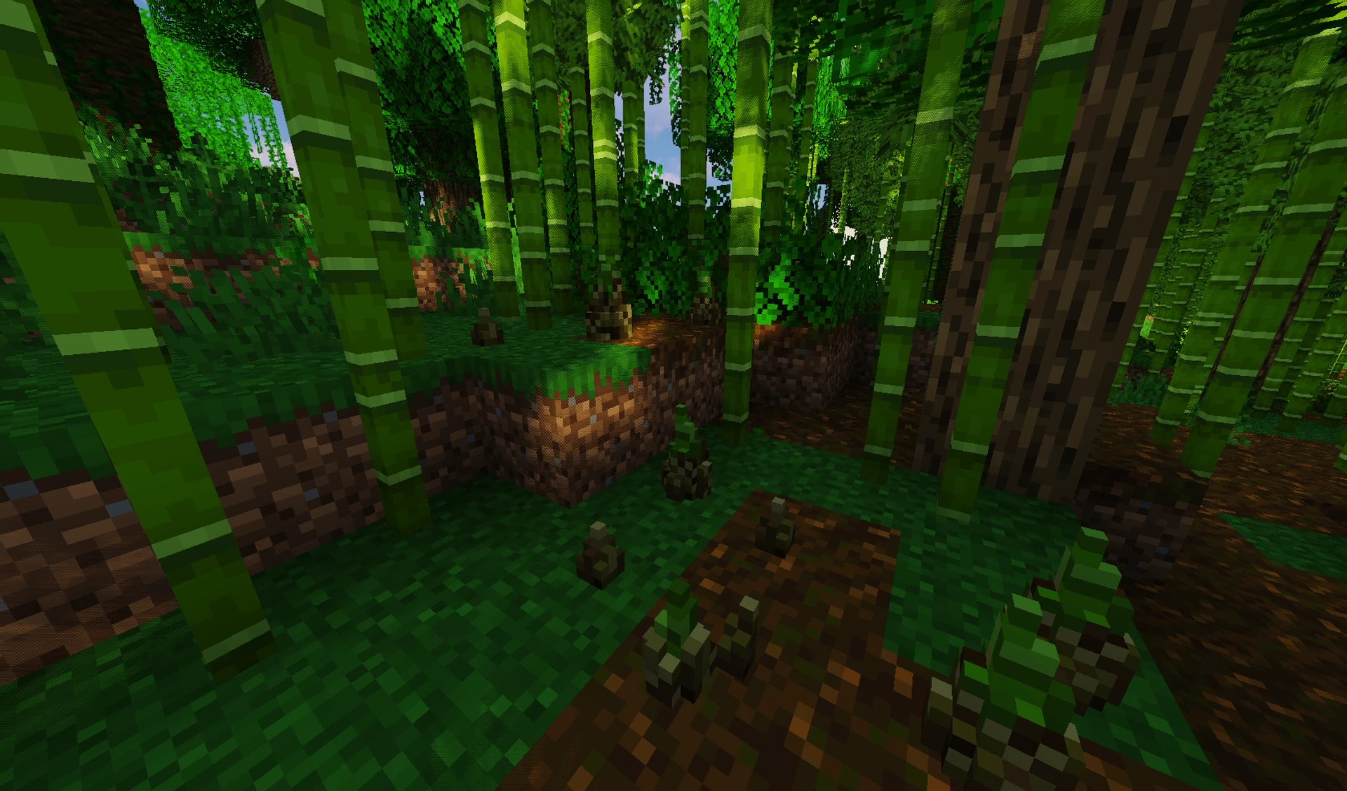 Изображение 4 ресурспака 3D Bamboo Shoots