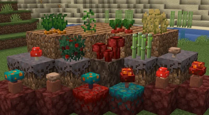 3D crops Revamped