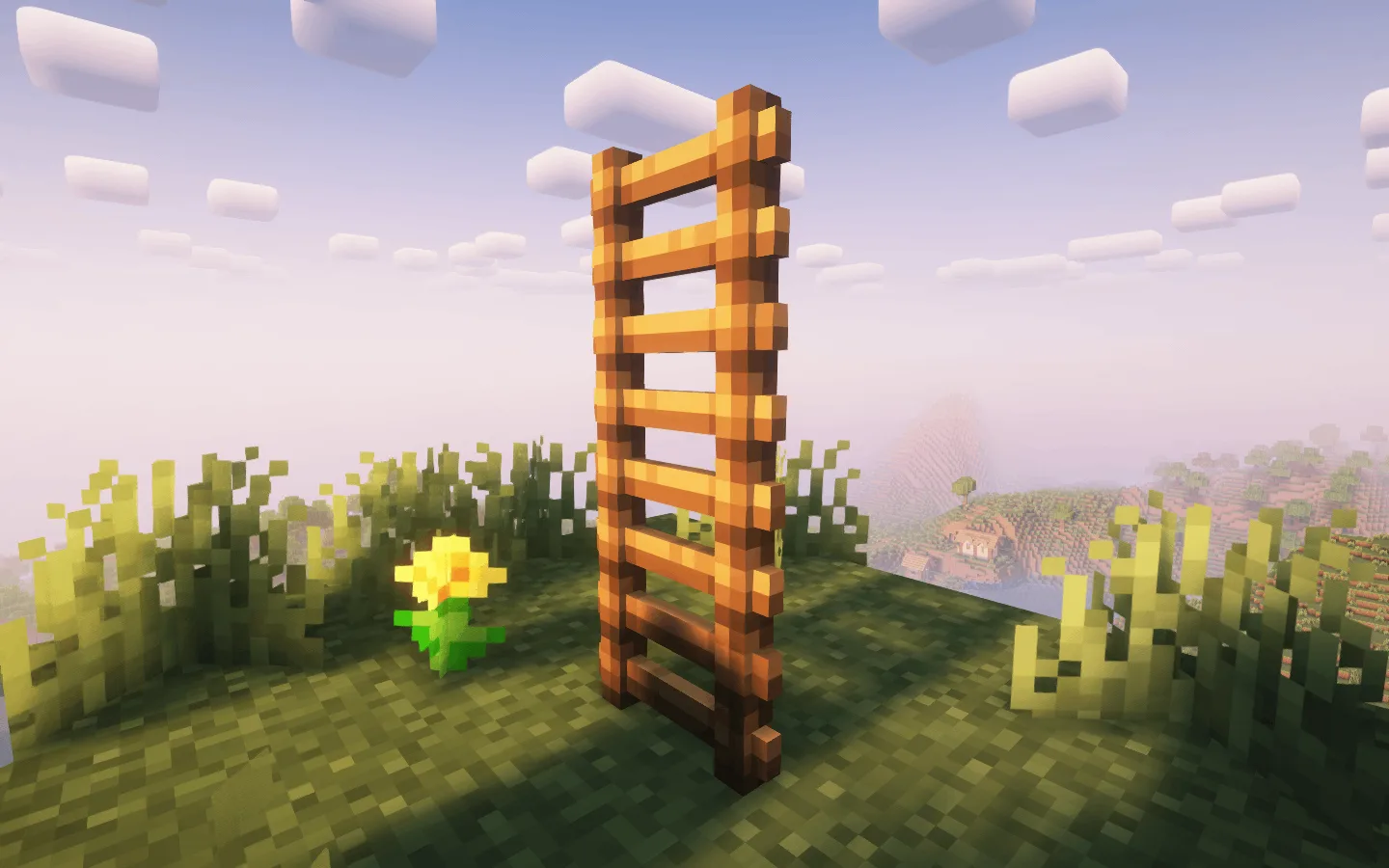 3D Ladder