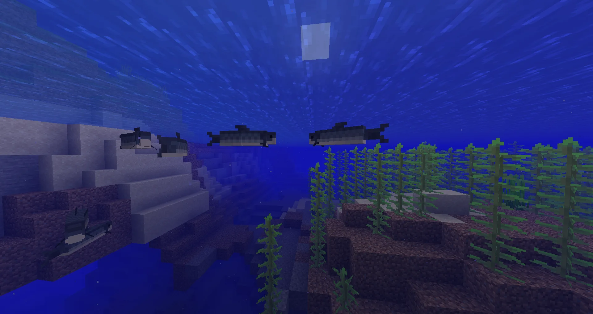 Accurate Salmon Variation