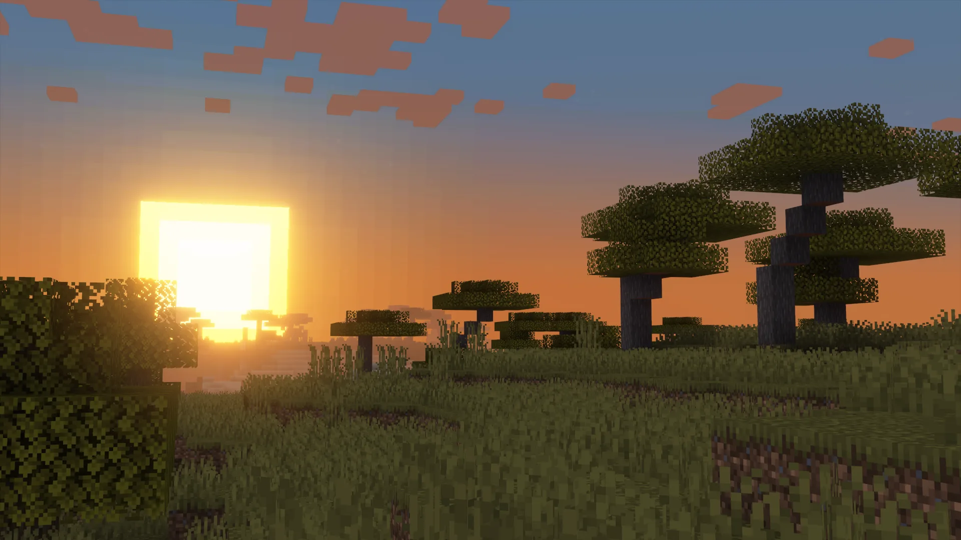 Aerie Shaders