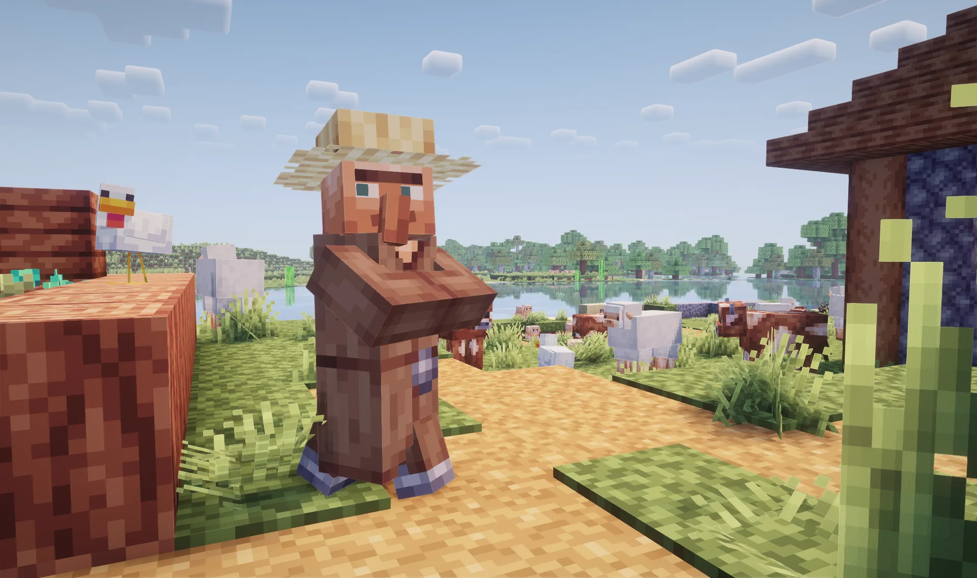 Allure x Fresh Animations