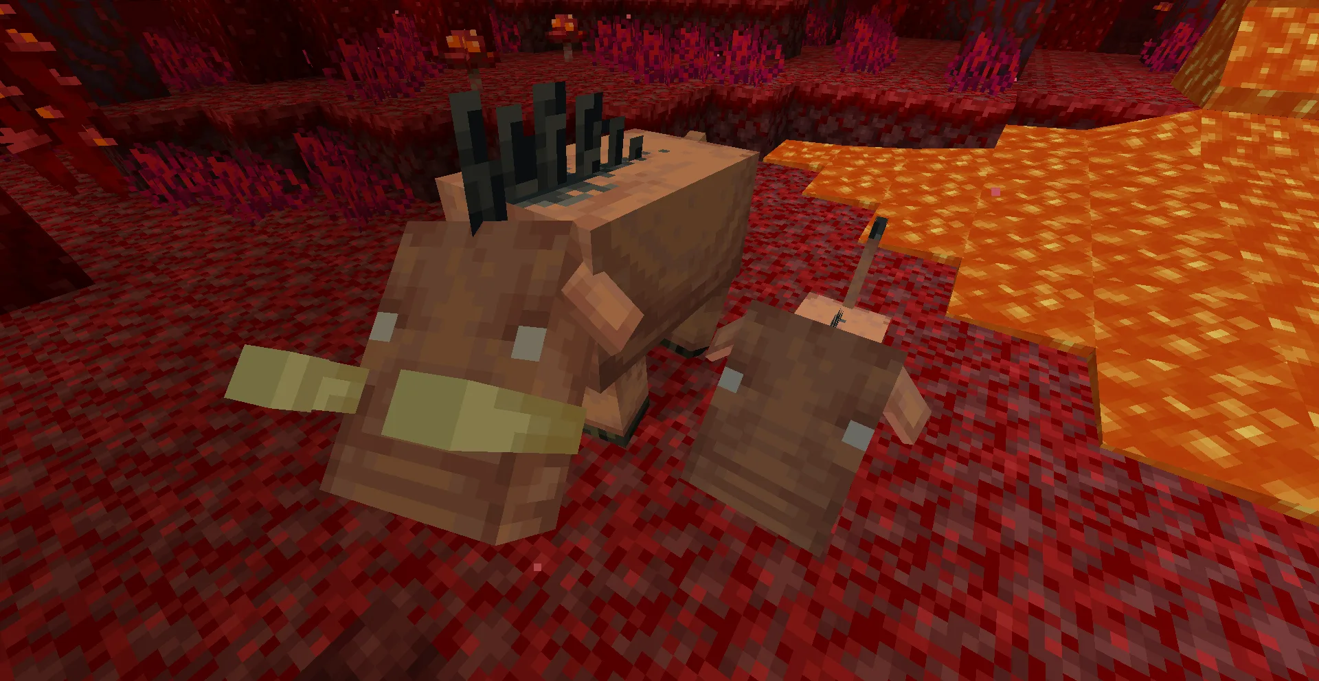 Изображение 4 ресурспака AL's Piglins Revamped x Fresh Animations