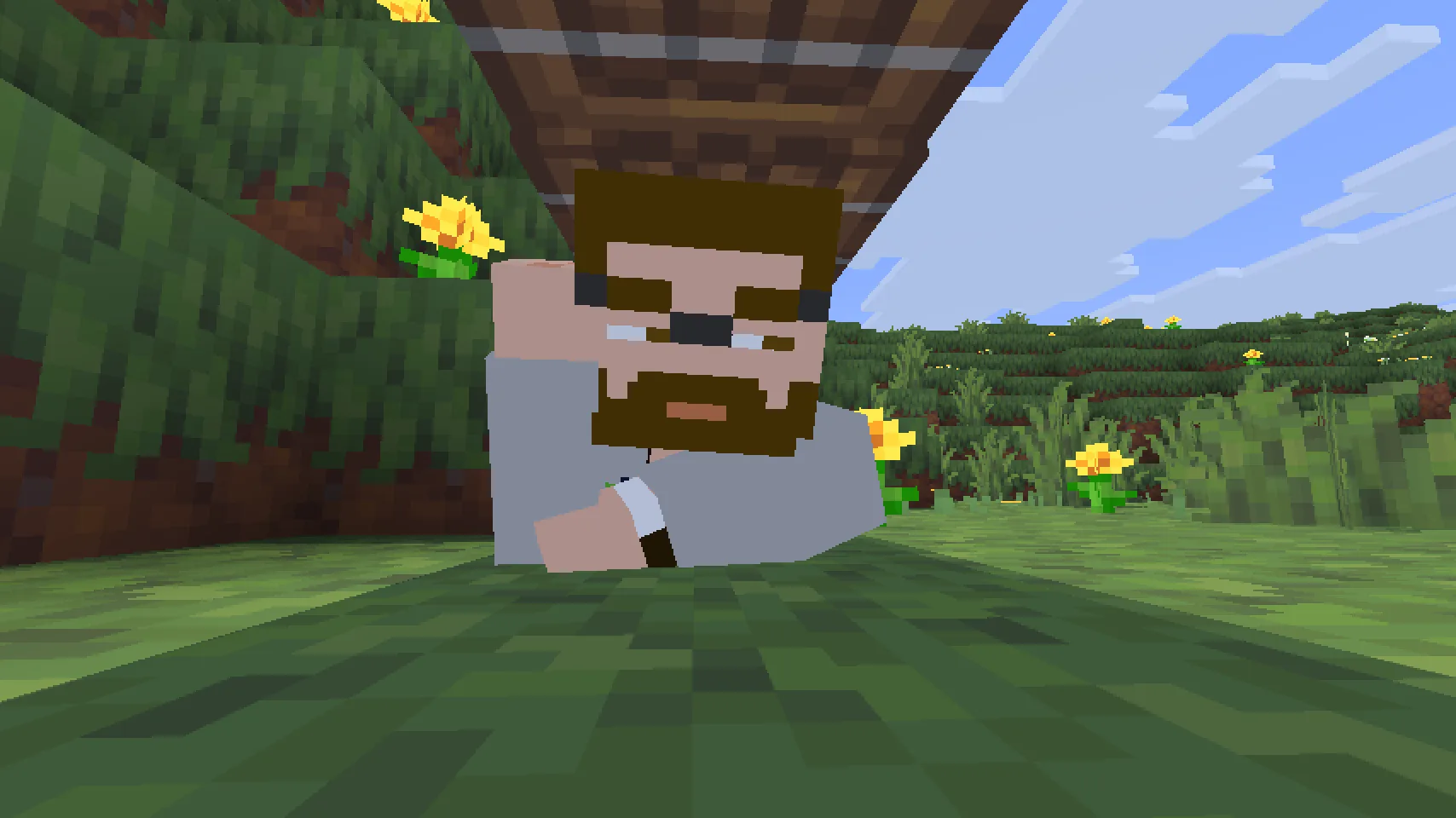 Изображение 4 ресурспака Alternative Custom Player Animations