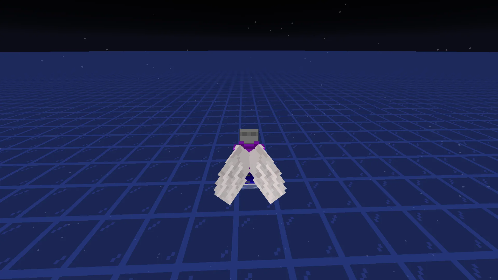 Angelic Elytra