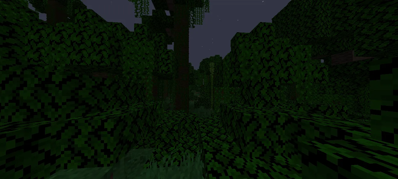 Изображение 1 ресурспака Anti Nightvision