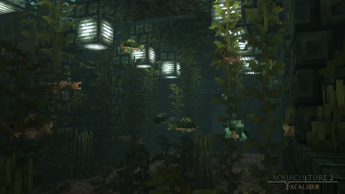 Excalibur | Aquaculture 2