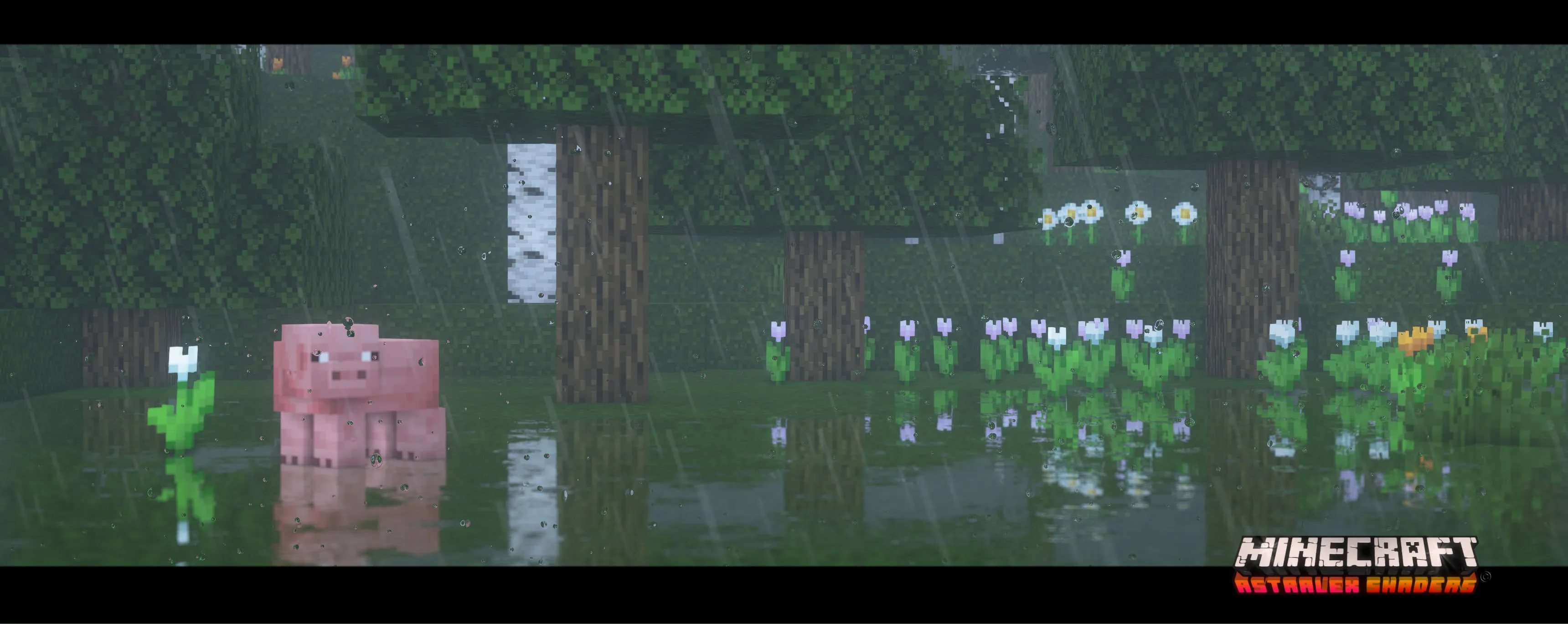 Изображение 6 шейдера AstraLex Shaders