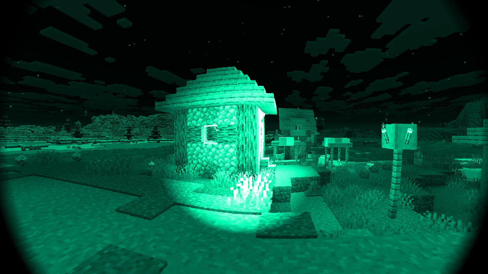 Authentic Night Vision