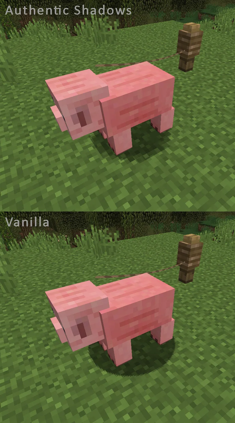 Изображение 2 ресурспака Authentic Shadows