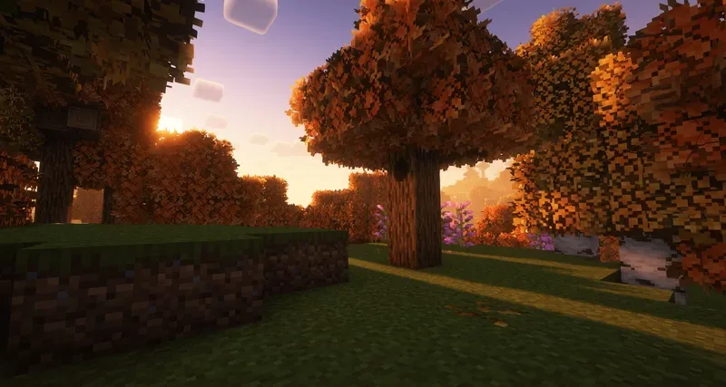 Autumn Fall