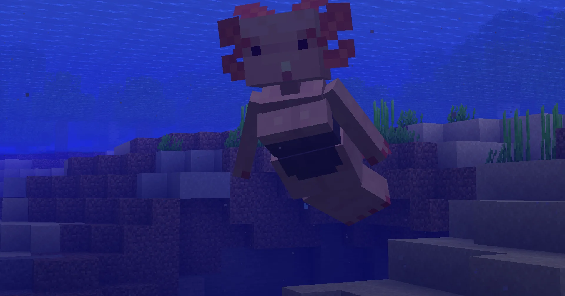 Изображение 2 ресурспака Axolotl Girl