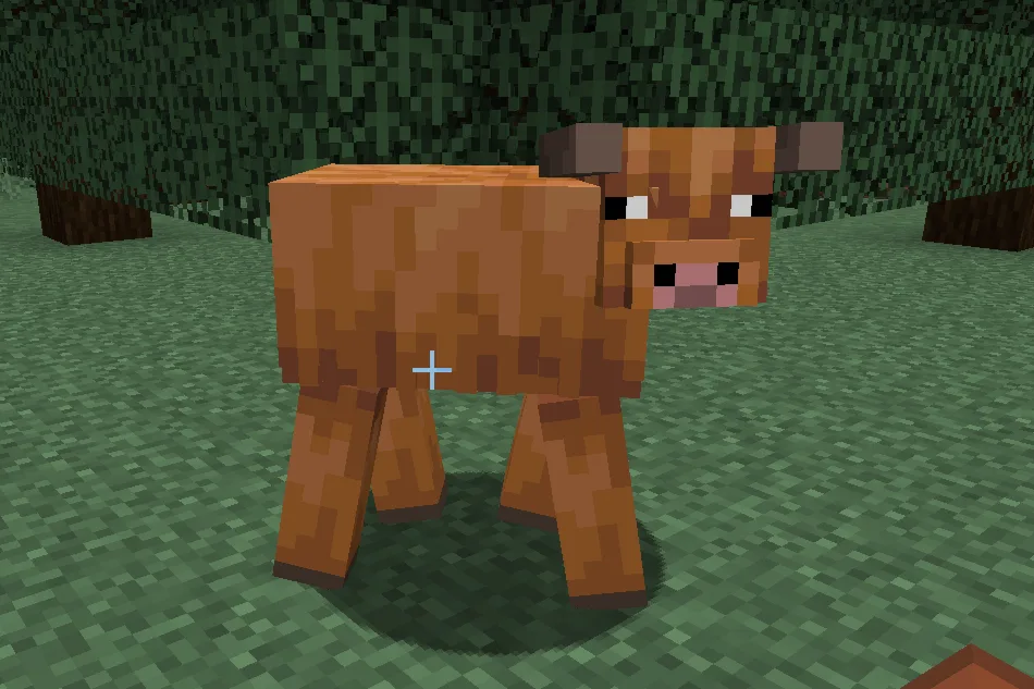 Backported Cows