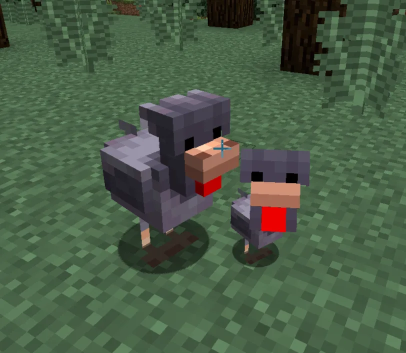 Backported Chickens