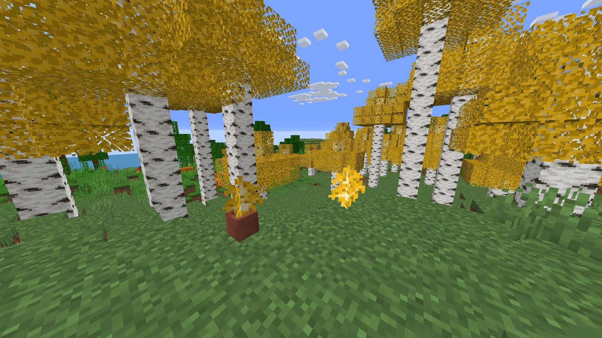 Better Birch Leaves