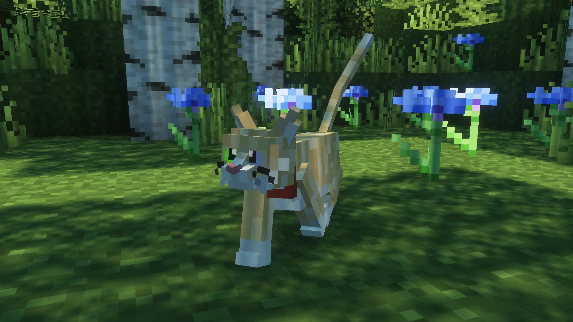 Изображение 2 ресурспака Better Cats x Fresh Animations