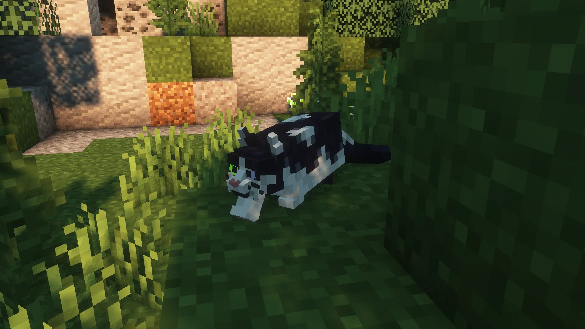 Изображение 4 ресурспака Better Cats x Fresh Animations