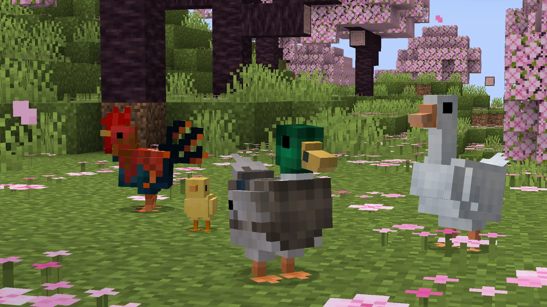Better Farm Animals
