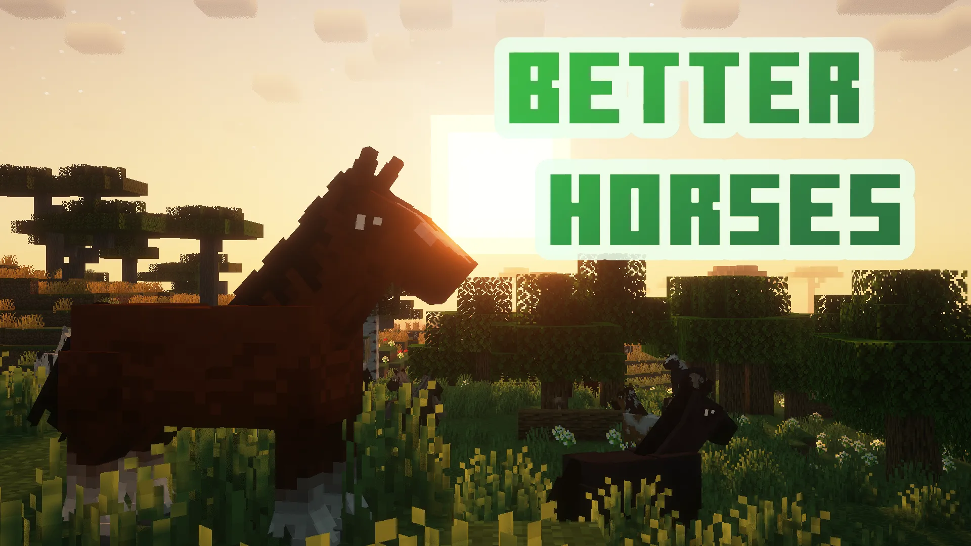 Better Horses