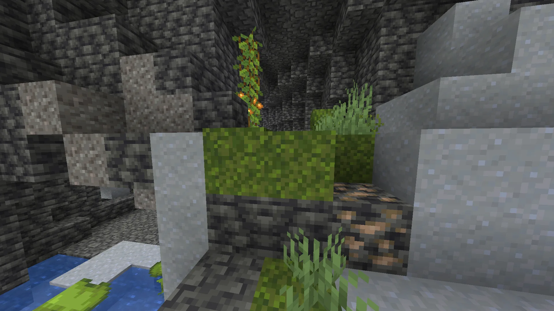Изображение 1 ресурспака Better Moss Carpet Overhang