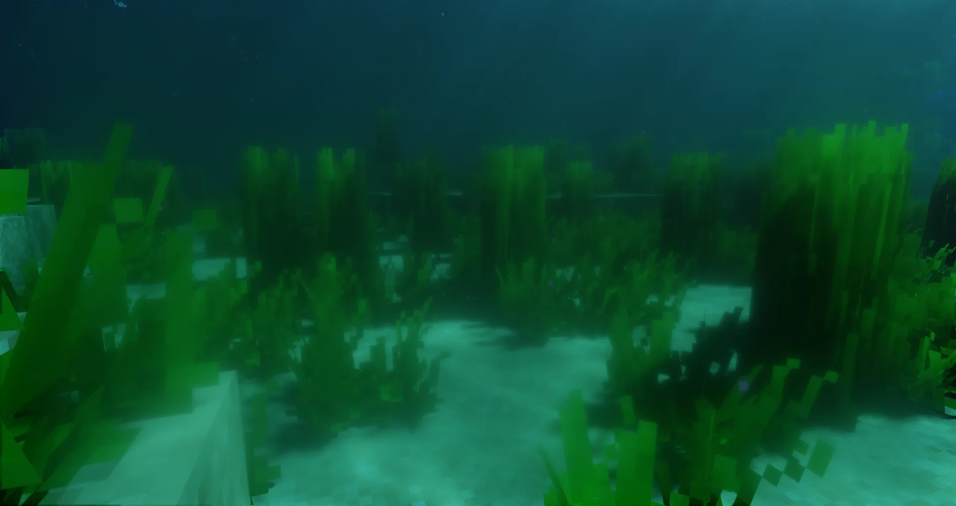 Better Seagrass
