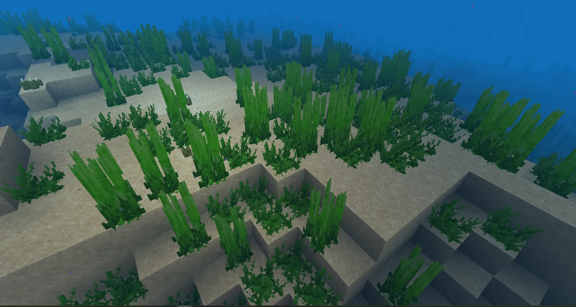 Изображение 3 ресурспака Better Seagrass