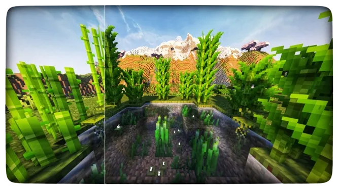 Изображение 1 ресурспака Ray's Better Sugarcane