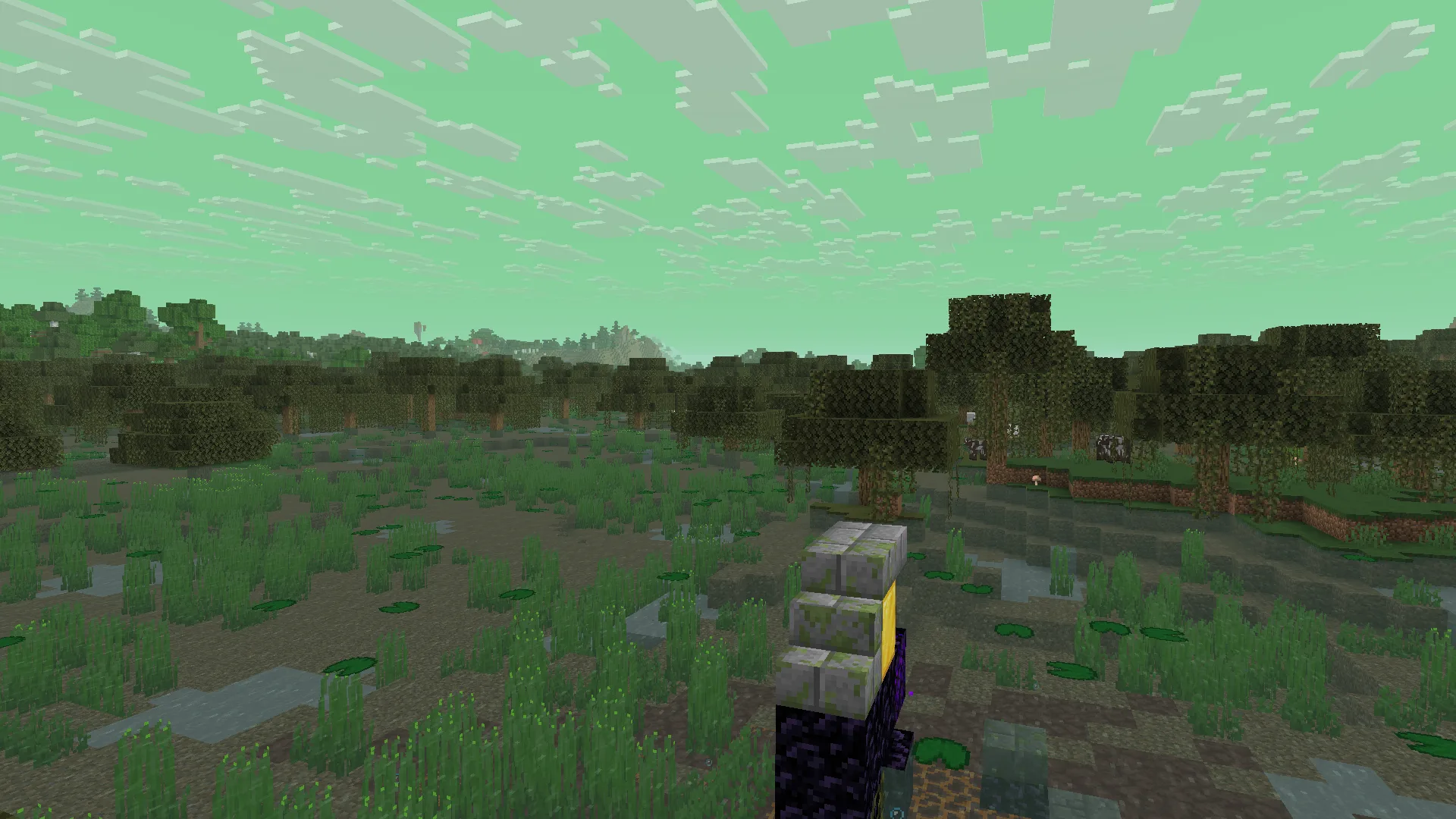 Изображение 6 ресурспака BiomeBloom