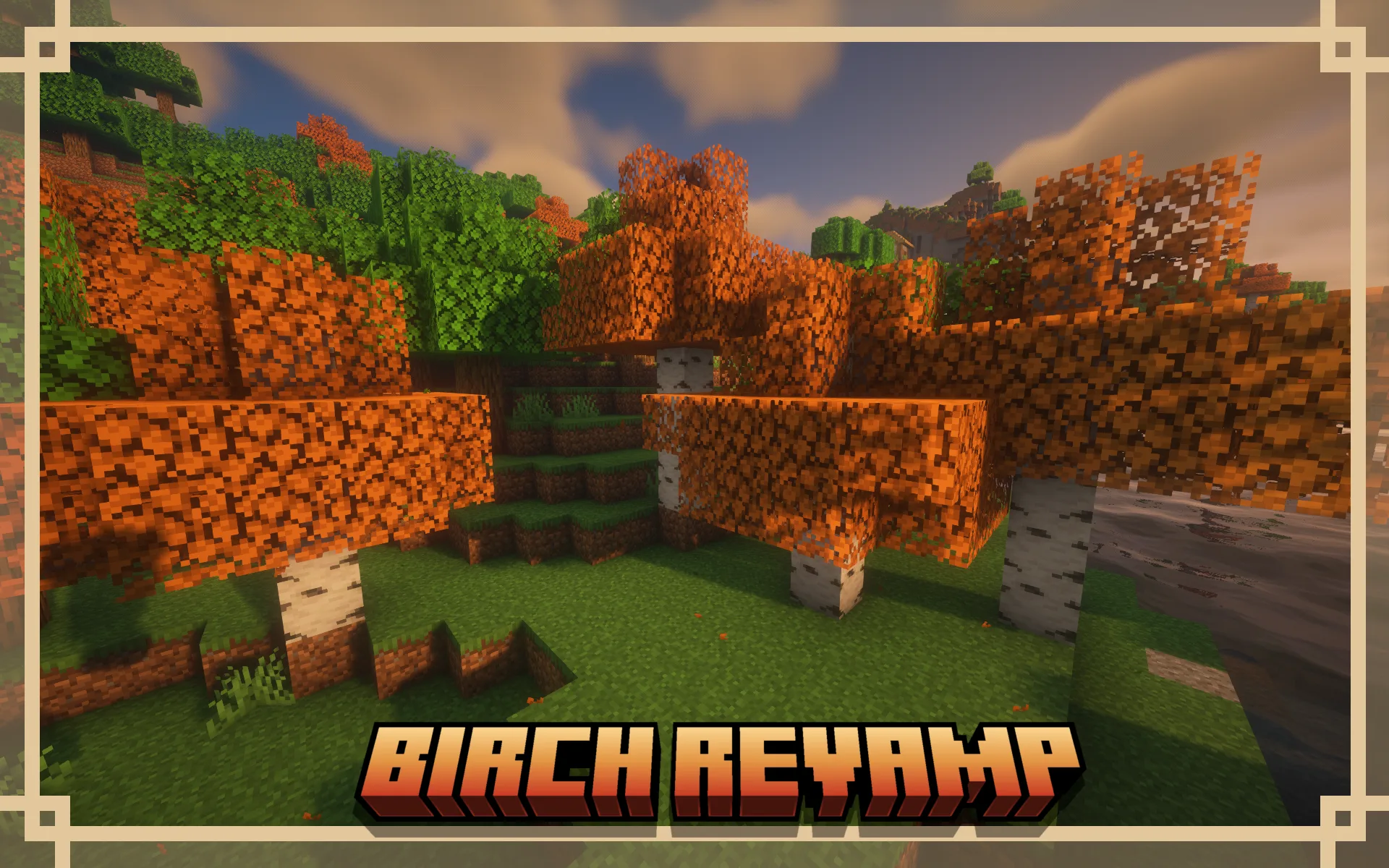 Birch Revamp