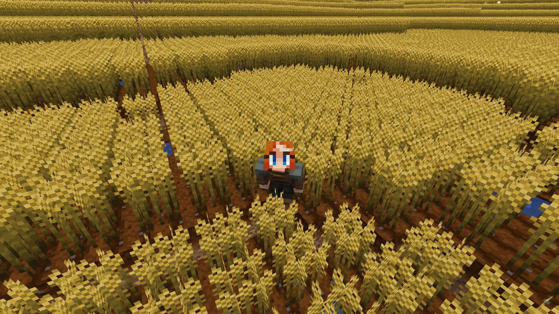 Изображение 2 ресурспака Bontiful Crops
