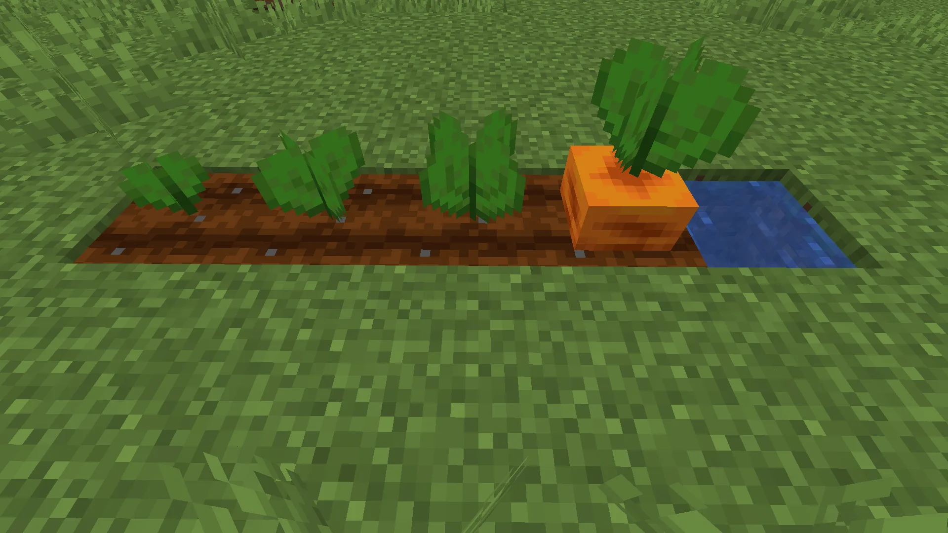 Изображение 3 ресурспака Bontiful Crops