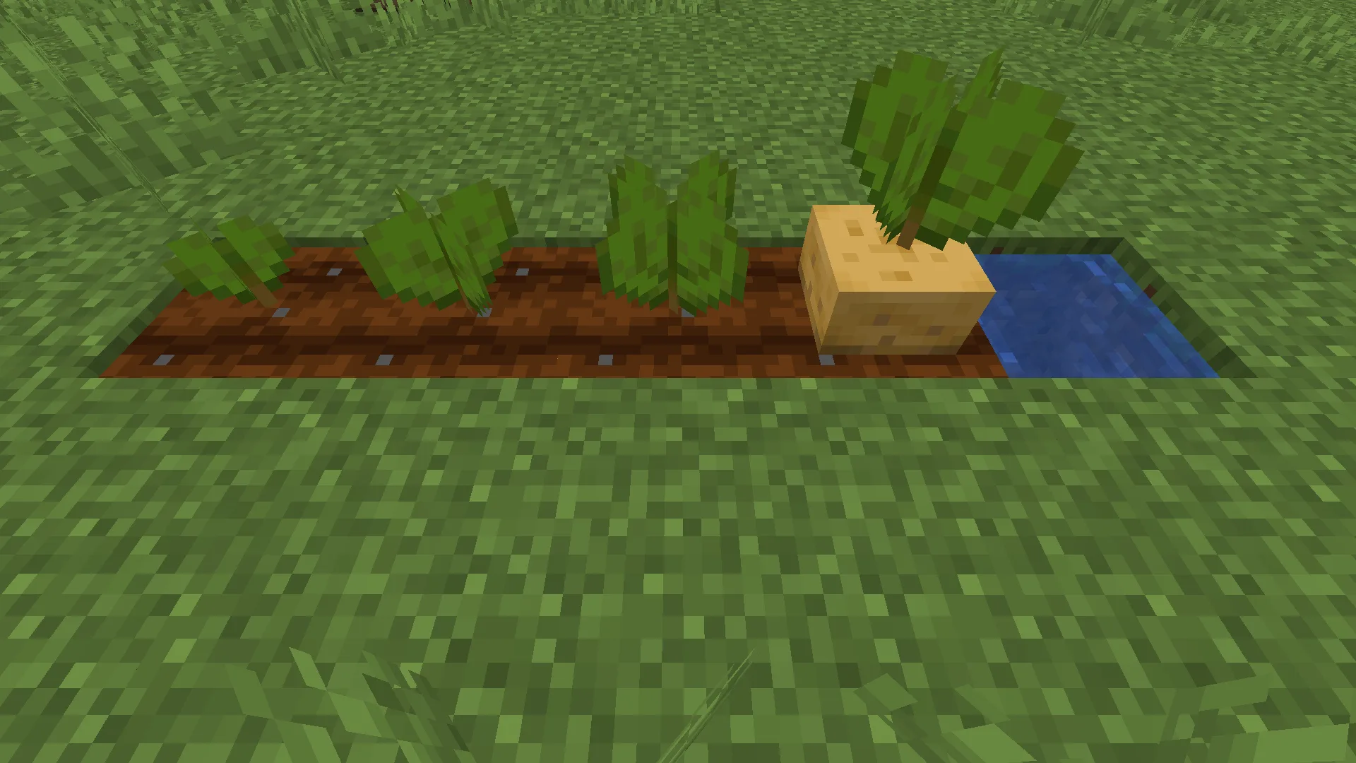 Изображение 4 ресурспака Bontiful Crops