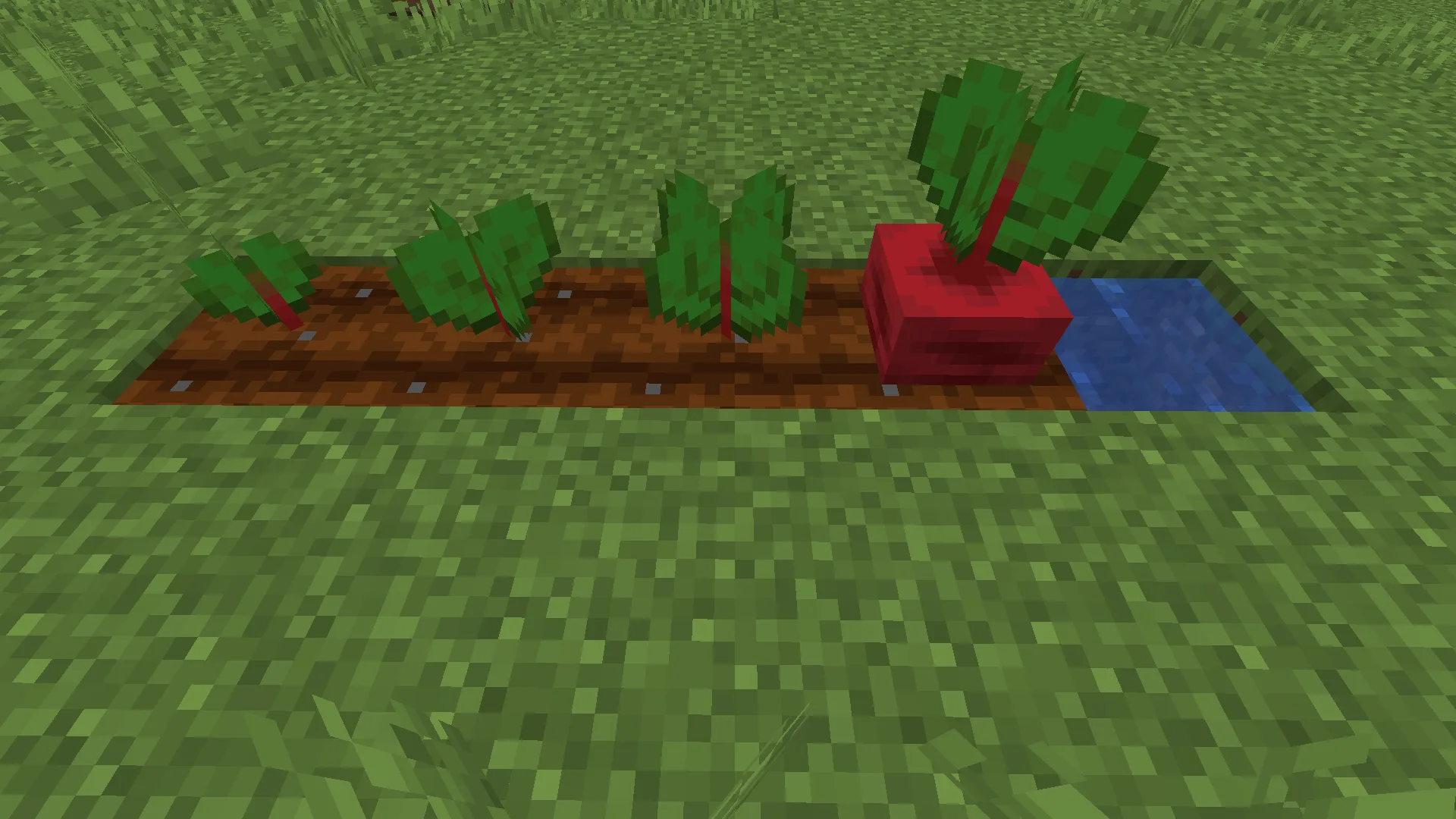 Изображение 5 ресурспака Bontiful Crops