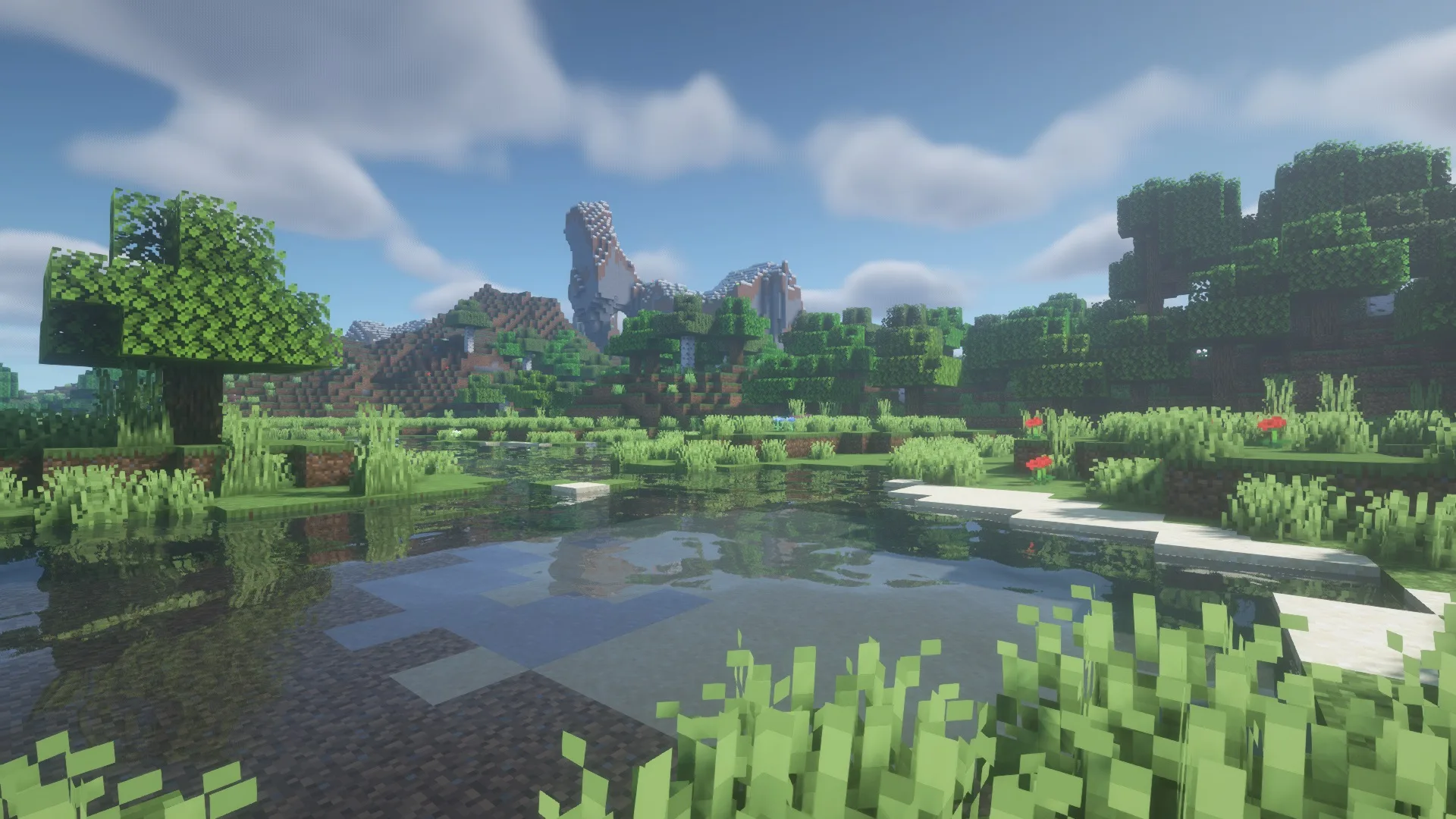 BSL Shaders