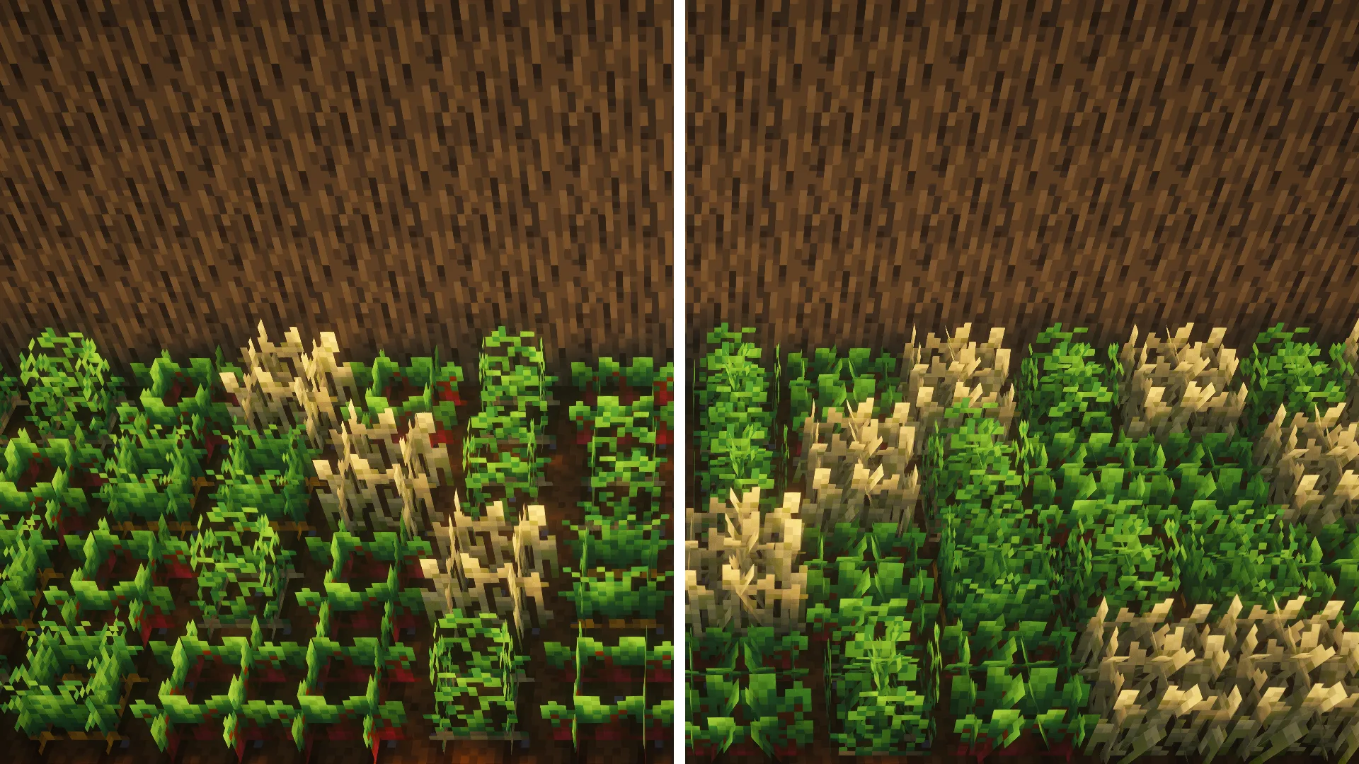 Bushy Crops