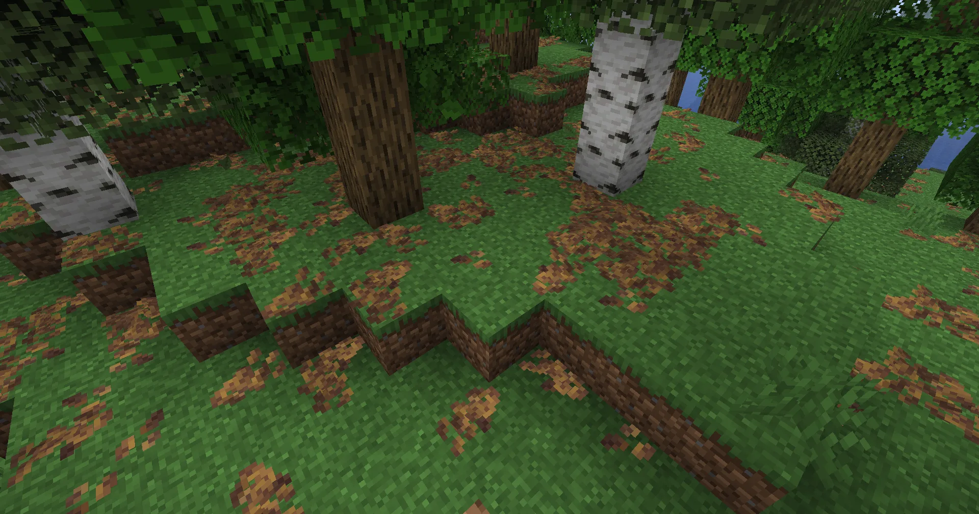 Изображение 2 ресурспака Bushy Leaf Litter