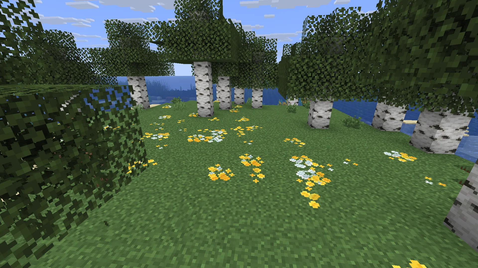 Bushy pink petals, wildflowers & leaf litter