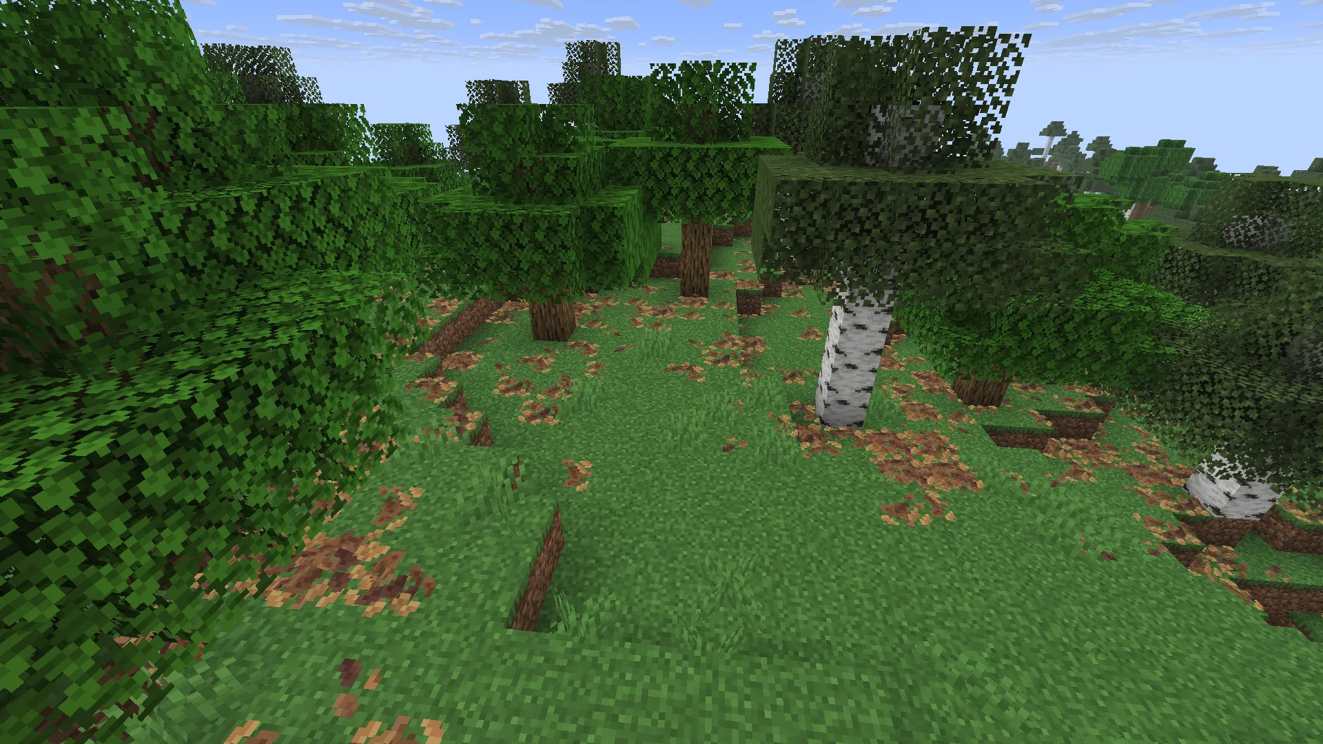 Изображение 3 ресурспака Bushy pink petals, wildflowers & leaf litter