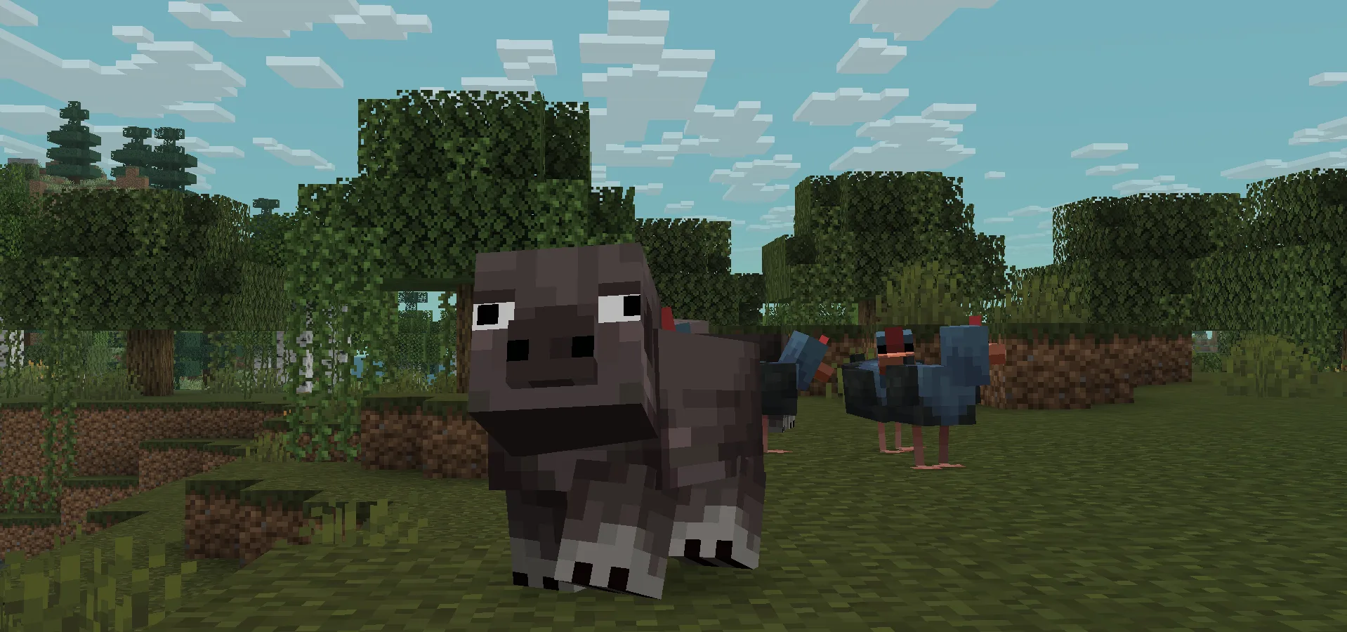 ButterBee x Fresh Animations