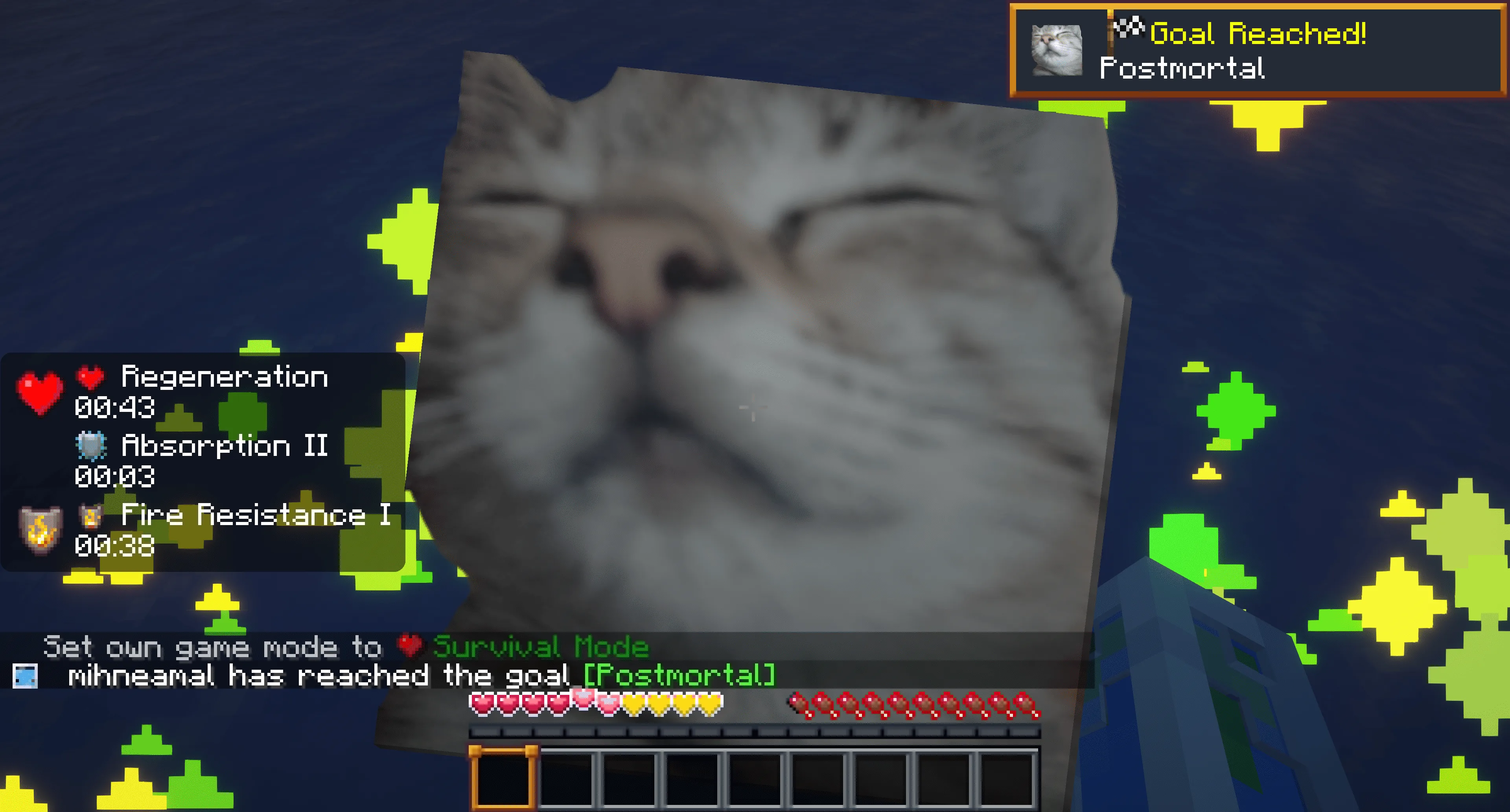 Изображение 2 ресурспака Cat Totem