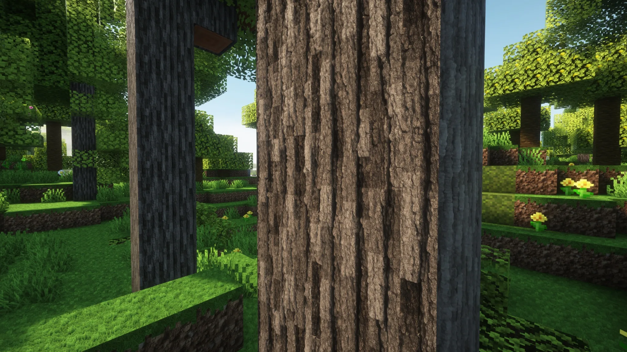 Изображение 6 ресурспака Cato's HD Textures 128x