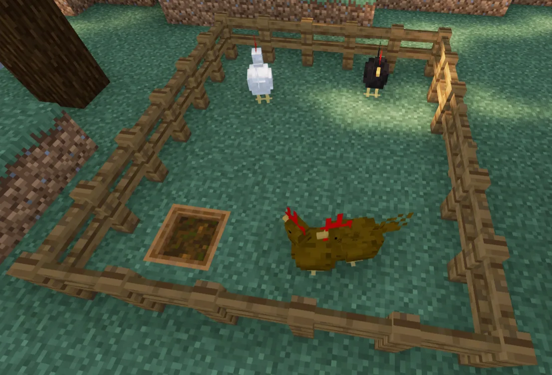 Chickens Overhaul